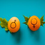 Gender Pay Gap in New Zealand and Gender Gap in Japan